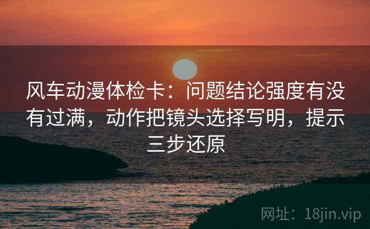 风车动漫体检卡:问题结论强度有没有过满,动作把镜头选择写明,提示三步还原