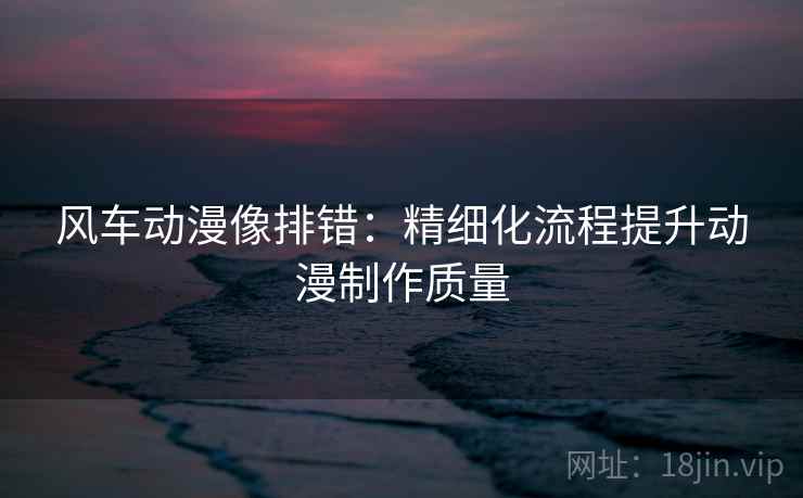风车动漫像排错:精细化流程提升动漫制作质量