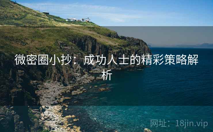 微密圈小抄:成功人士的精彩策略解析